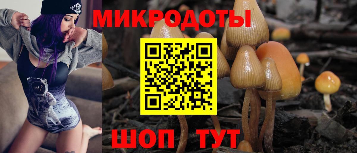 Галлюциногенные грибы Psilocybe  Вход с VPN  Петропавловск-Камчатский 