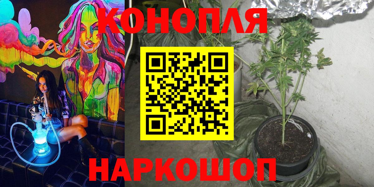 Конопля Bruce Banner Петропавловск-Камчатский